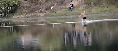 少林武僧水上漂120米刷新世界纪录 下一个目标